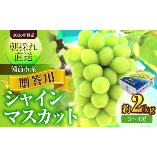 ふるさと納税 ぶどう マスカット 岡山県 備前市  2026年発送 備前市産 贈答用シャインマスカット 約2kg（8月中旬〜9月中旬頃発送） シャインマスカット ぶどう…の画像