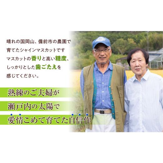 ふるさと納税 ぶどう マスカット 岡山県 備前市  2026年発送 備前市産 贈答用シャインマスカット 約2kg（8月中旬〜9月中旬頃発送） シャインマスカット ぶどう…の画像