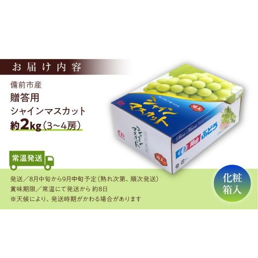 ふるさと納税 ぶどう マスカット 岡山県 備前市  2026年発送 備前市産 贈答用シャインマスカット 約2kg（8月中旬〜9月中旬頃発送） シャインマスカット ぶどう…の画像