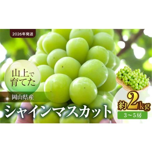 ふるさと納税 ぶどう マスカット 岡山県 備前市  2026年発送 山上で育てたシャインマスカット 約2kg（9月下旬〜10月下旬頃発送） フルーツ シャインマスカット…の画像