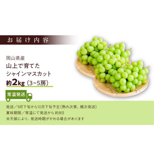 ふるさと納税 ぶどう マスカット 岡山県 備前市  2026年発送 山上で育てたシャインマスカット 約2kg（9月下旬〜10月下旬頃発送） フルーツ シャインマスカット…の画像