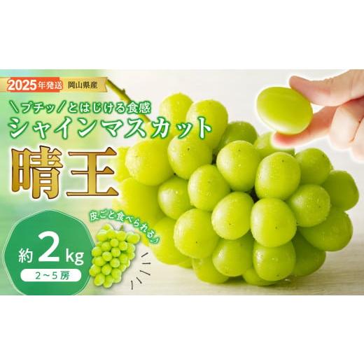 ふるさと納税 ぶどう マスカット 岡山県 備前市 2025年発送分 先行受付スタート 岡山県産シャインマスカット「晴王」 秀品 大房 (約2kg・2〜5房程度)(…