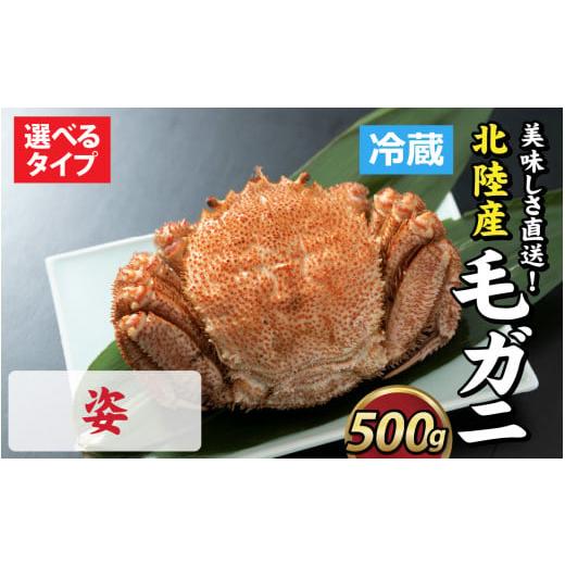 ふるさと納税 カニ 毛ガニ 福井県 福井市 成前特選 美味しさ直送 北陸産 毛ガニ 500g前後×1杯(オス、メス 調理方法選択可) B-028006_01 姿