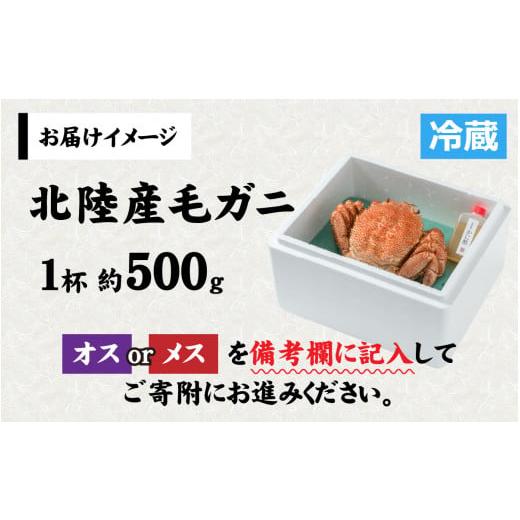 ふるさと納税 福井県 福井市 【成前特選】美味しさ直送！北陸産 毛ガニ 500ｇ前後×1杯（オス、メス　調理方法選択可） [B-028006_01] 姿｜furusatochoice｜10