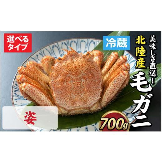 ふるさと納税 カニ 毛ガニ 福井県 福井市 成前特選 美味しさ直送 北陸産 毛ガニ 700g前後×1杯(オス) D-028007_01 姿