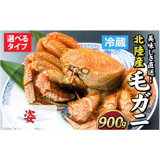 ふるさと納税 カニ 毛ガニ 福井県 福井市 成前特選 美味しさ直送 北陸産 毛ガニ 900g前後×1杯(オス) F-028009_01 姿