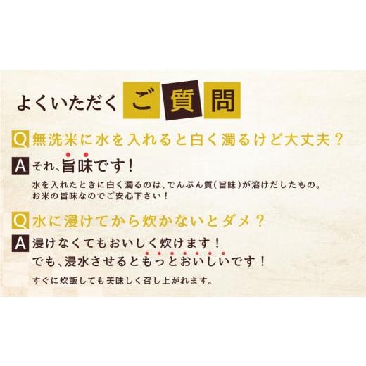 ふるさと納税 愛知県 田原市 《5月末金額改定予定》《新米 先行予約》無洗米 コシヒカリ 10kg 6回 定期便 6ヶ月 米 定期便｜furusatochoice｜11