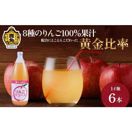 ふるさと納税 果汁飲料 りんご 秋田県 鹿角市 木村さんちの葉取らずりんご100%果汁 りんごジュース 1L×6本 録政園 葉とらず はとらず 林檎 リンゴ りんご 完…