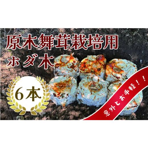 ふるさと納税 野菜類 きのこ 長野県 松本市 原木まいたけ栽培用のホダ木(栽培用原木) | 長野県 松本市 信州産 まいたけ きのこ マイタケ 原木 舞茸