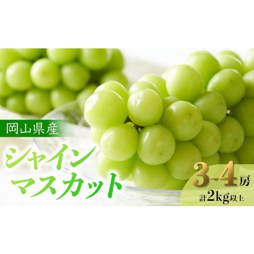 ふるさと納税 ぶどう マスカット 岡山県 岡山市 ぶどう 2026年 岡山県産 シャインマスカット 3〜4房 計2kg以上 ジューシーで上品な甘みと高貴な香り | フルー…