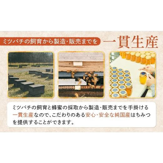ふるさと納税 加工品等 はちみつ 北海道 上士幌町 十勝養蜂園 蜂蜜 はちみつ ハチミツ 国産 アカシア クローバー 500g×2種 純粋 無添加 高糖度 保存食 ギフト…の画像
