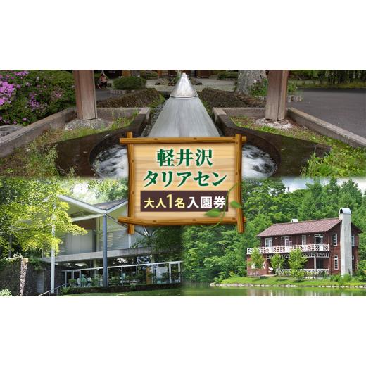 ふるさと納税 入場券・優待券 長野県 軽井沢町 軽井沢タリアセン 大人1名 入園券  
