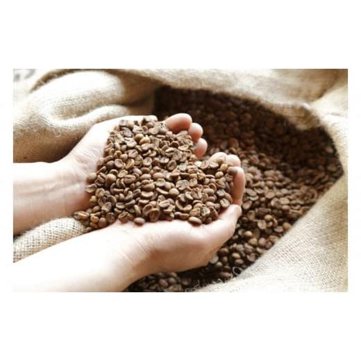 ふるさと納税 コーヒー コーヒー豆 長野県 軽井沢町 軽井沢焙煎所オーガニックコーヒー 100g×3種 ドリップバッグ10g×3 ６回定期便 No.5328-0322の画像