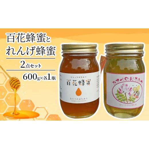 ふるさと納税 加工品等 はちみつ 岡山県 玉野市 れんげ 蜂蜜 と 百花 蜂蜜 の2点 セット はちみつ 加工食品_1