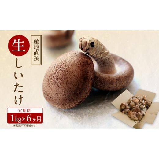 ふるさと納税 野菜類 きのこ 岡山県 玉野市 産地直送 有機JAS 生しいたけ定期便 1kg×6ヶ月 オーガニック しいたけ きのこ 野菜 岡山県 玉野市 栽培期間中化…