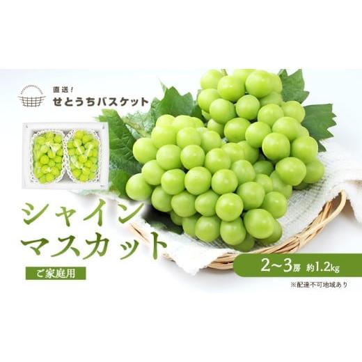 ふるさと納税 ぶどう マスカット 岡山県 玉野市 ぶどう 2026年 先行予約 ご家庭用 シャインマスカット 2〜3房 約1.2kg ブドウ 葡萄 岡山県産 国産 フルーツ 果…