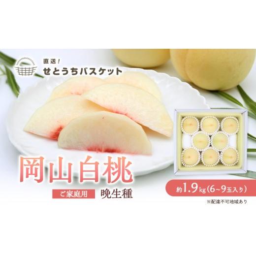 ふるさと納税 もも 岡山県 玉野市 桃 2026年 先行予約 岡山 白桃(晩生種)ご家庭用 約2kg 6〜9玉入り もも モモ 岡山県産 国産 フルーツ 果物 直送 せとうち…