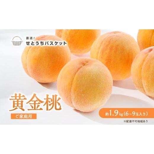 ふるさと納税 もも 岡山県 玉野市 桃 2026年 先行予約 岡山 黄金桃 ご家庭用 約2kg 6〜9玉入り もも モモ 岡山県産 国産 フルーツ 果物 直送 せとうちバスケッ…