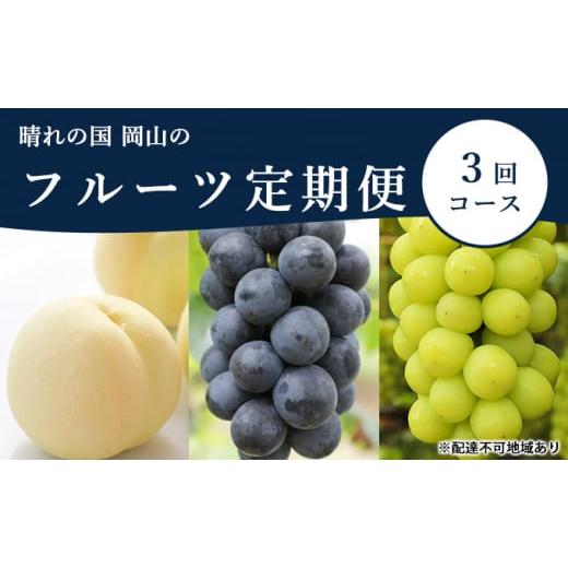 ふるさと納税 もも 岡山県 玉野市 桃 ぶどう 定期便 2026年 先行予約 晴れの国 岡山 の フルーツ 定期便 3回コース もも モモ 葡萄 ブドウ 岡山県産 国産 セッ…