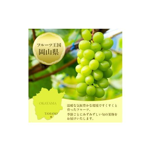 ふるさと納税 もも 岡山県 玉野市 桃 ぶどう 梨 定期便 2026年 先行予約 晴れの国 岡山 の フルーツ 定期便 6回コース もも 葡萄 なし 岡山県産 国産 セット …_3