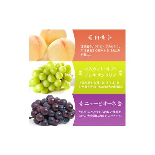 ふるさと納税 もも 岡山県 玉野市 桃 ぶどう 梨 定期便 2026年 先行予約 晴れの国 岡山 の フルーツ 定期便 6回コース もも 葡萄 なし 岡山県産 国産 セット …_4