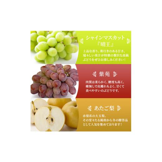 ふるさと納税 もも 岡山県 玉野市 桃 ぶどう 梨 定期便 2026年 先行予約 晴れの国 岡山 の フルーツ 定期便 6回コース もも 葡萄 なし 岡山県産 国産 セット …_5