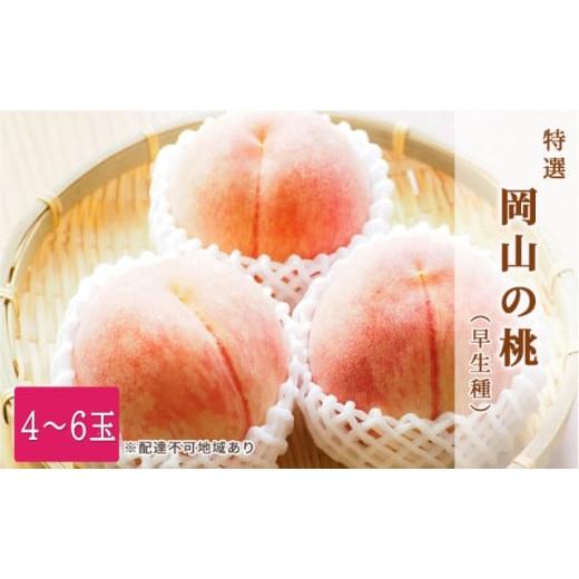 ふるさと納税 もも 岡山県 玉野市 桃 2026年 先行予約 特選 岡山の白桃 4〜6玉 1.5k箱(正味内容量1.3kg以上)早生種 もも モモ 岡山県産 国産 フルーツ 果物 …