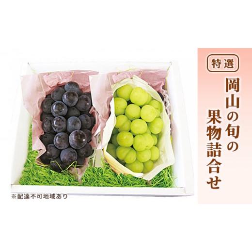 ふるさと納税 ぶどう マスカット 岡山県 玉野市 ぶどう 2026年 先行予約 特選 岡山の旬の果物詰合せ-4 シャインマスカット 晴王 ブドウ 葡萄 岡山県産 国産 フ…