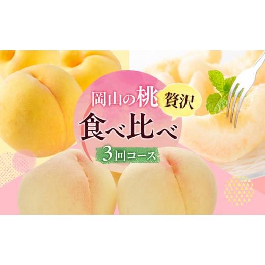 ふるさと納税 もも 岡山県 玉野市 桃 定期便 2026年 先行予約 岡山 の 桃 食べ比べ 3回コース もも モモ 岡山県産 国産 フルーツ 果物 ギフト 食べ物 食品 デ…