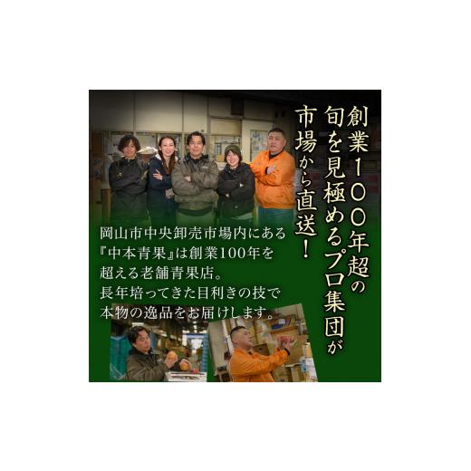 ふるさと納税 もも 岡山県 玉野市 フルーツ 定期便 2026年 先行予約 フルーツ王国 岡山の果物 5回コース 夏〜冬物語 桃 もも 葡萄 ぶどう 梨 なし岡山県産 国…_7