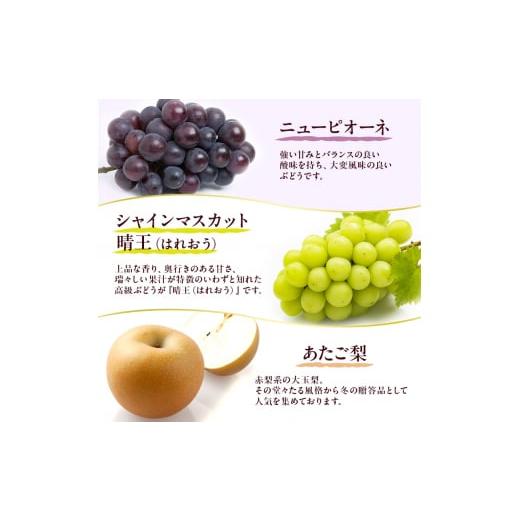 ふるさと納税 もも 岡山県 玉野市 フルーツ 定期便 2026年 先行予約 フルーツ王国 岡山を堪能 5回コース 桃 もも 葡萄 ぶどう 梨 なし岡山県産 国産 果物 セッ…_5