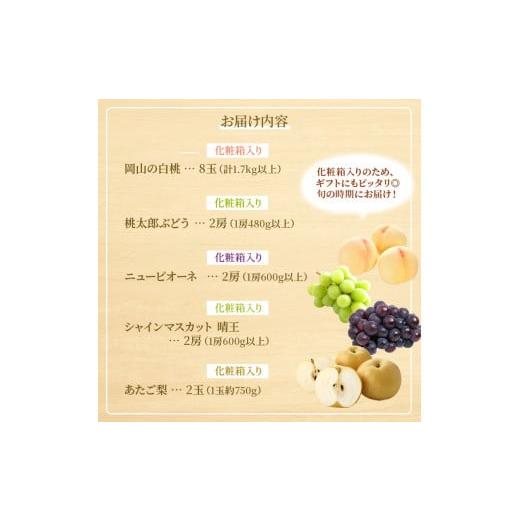 ふるさと納税 もも 岡山県 玉野市 フルーツ 定期便 2026年 先行予約 フルーツ王国 岡山を堪能 5回コース 桃 もも 葡萄 ぶどう 梨 なし岡山県産 国産 果物 セッ…_8