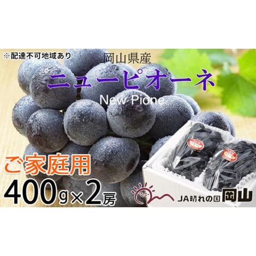 ふるさと納税 ぶどう 巨峰 岡山県 玉野市 ぶどう 2026年 先行予約 ご家庭用 ニュー ピオーネ 約400g×2房 ブドウ 葡萄 岡山県産 国産 フルーツ 果物 巨峰 美し…