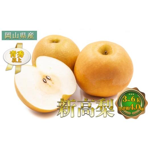 ふるさと納税 梨 岡山県 玉野市 梨 2026年 先行予約 新高梨 3〜6玉 青秀以上 合計約4.0kg 梨 なし 果物 フルーツ 岡山県産 化粧箱入り 大きい 形 おいしさ 梨…