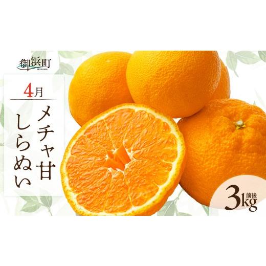 ふるさと納税 果物類 みかん 三重県 御浜町 4月の御浜柑橘 メチャ甘しらぬい 3キロ前後 期間限定 果物 フルーツ みかん 不知火 しらぬい 3kg前後 三重県 御浜…