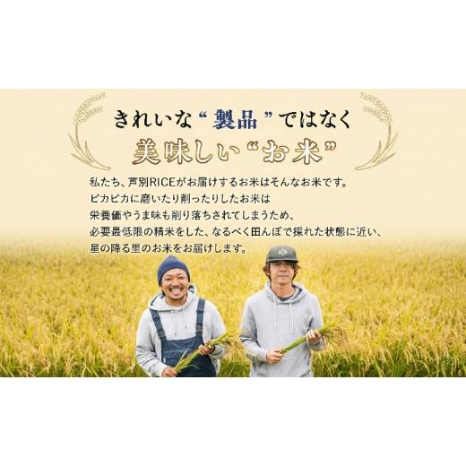 ふるさと納税 米 ゆめぴりか 北海道 芦別市 新米・先行予約 米 20kg (5kg×4袋) ゆめぴりか 令和8年産 2026 2026年産 8年 順次発送 北海道 芦別市産 芦別市 …_7