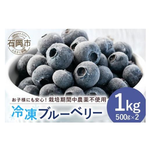 ふるさと納税 果物類 茨城県 石岡市 2026年 先行予約 元気に育った ブルーベリー 1kg 冷凍 ( 500g 2パック ) 農薬 栽培期間中 不使用 果物 フルーツ 1キロ 手…