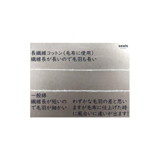 ふるさと納税 タオル・寝具 毛布 和歌山県 橋本市 綿100%綿毛布 厚手タイプ 生成 1450017_3