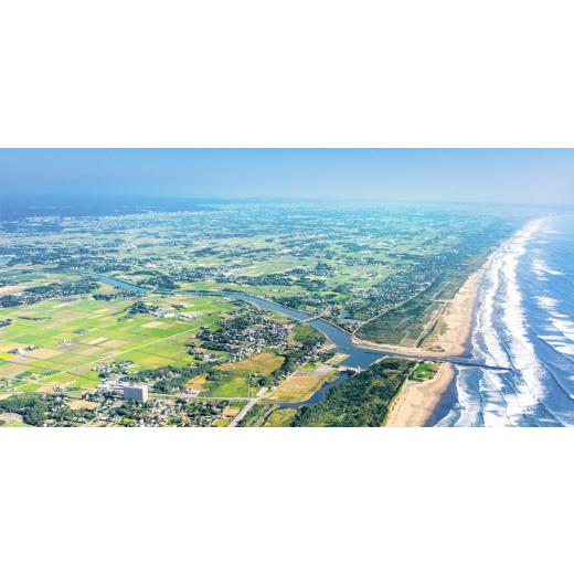 ふるさと納税 一時滞在券 ペンション・コテージ 千葉県 横芝光町 坂田の梅林をのんびりほっつき歩く 1泊2日有りの実寝台券(ウッディコテージ) 1490894