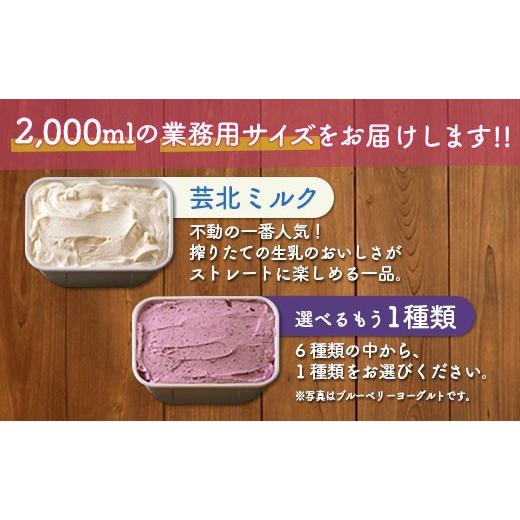 ふるさと納税 菓子 アイス 広島県 北広島町 芸北ドルチェ 2,000mlバルク×2種類 アイスクリームセットの画像