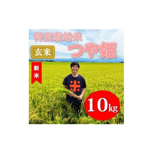 ふるさと納税 玄米 山形県 三川町 令和8年産・玄米 ecofarmすがわらの特別栽培米つや姫10kg 10月下旬ごろから順次発送開始 令和8年産