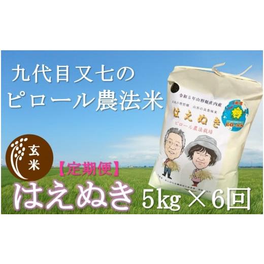 ふるさと納税 山形県 三川町 10月スタート[定期便6回]九代目又七の[玄米]ピロール米はえぬき5kg 新米10月上旬頃スタート