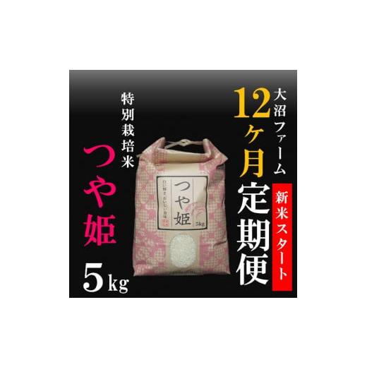 ふるさと納税 山形県 三川町 10月スタート[定期便12回]大沼ファームの特別栽培米つや姫5kg 新米10月スタート