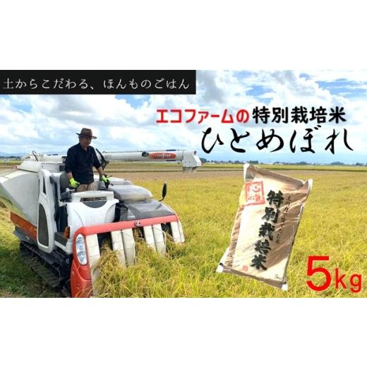 ふるさと納税 米 ひとめぼれ 山形県 三川町 令和8年産・精米 エコファームの特別栽培米ひとめぼれ5kg 10月上旬ごろ発送 令和8年産