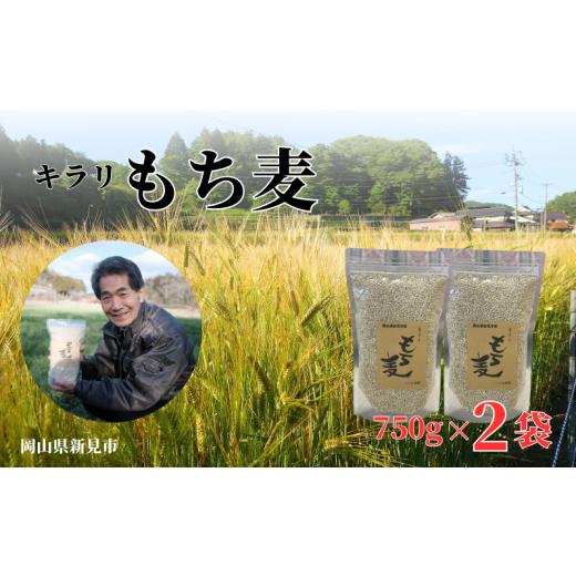 ふるさと納税 岡山県 新見市 キラリもち麦 約1.5kg (約750g×2袋)