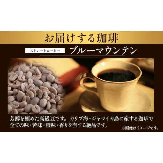 ふるさと納税 大阪府 羽曳野市 マウンテン珈琲 飲み比べ 100g （豆）＆古墳珈琲 ドリップバッグ 1袋 株式会社ばいせん工房 珈琲倶楽部《30日以内に出荷予定(土…｜furusatochoice｜03