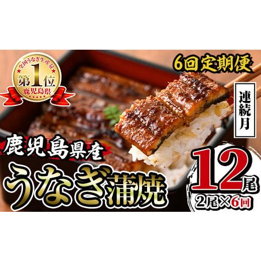 ふるさと納税 うなぎ 鹿児島県 出水市 i938-A 定期便・計6回(連続月) 鹿児島県産うなぎ蒲焼2尾セット (約140g×2・計約280g)×全6回 定期便 うなぎ 鰻 ウナギ …