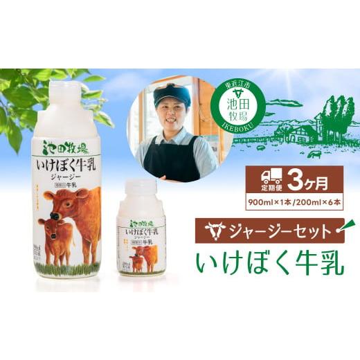 ふるさと納税 飲料類 牛乳 滋賀県 東近江市 B-A03 いけぼく牛乳ジャージーセット3か月定期便 ミルク 牛乳 ミルク 生乳 ギフト プレゼント 贈答 牛乳 牛乳ぎゅ…