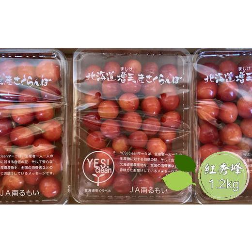 ふるさと納税 果物類 さくらんぼ 北海道 増毛町 8-020-011 尾久果樹園のさくらんぼ 紅秀峰(2L)1.2kg