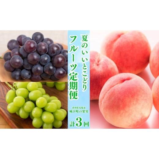 ふるさと納税 果物の詰合せ 香川県 丸亀市 全3回 フルーツ定期便「丸亀市夏のいいとこどり定期便」〜少人数でも楽しみやすい食べきり版〜/シャインマスカッ…